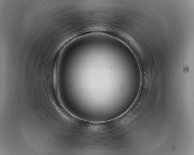 X0000090861225200707271221