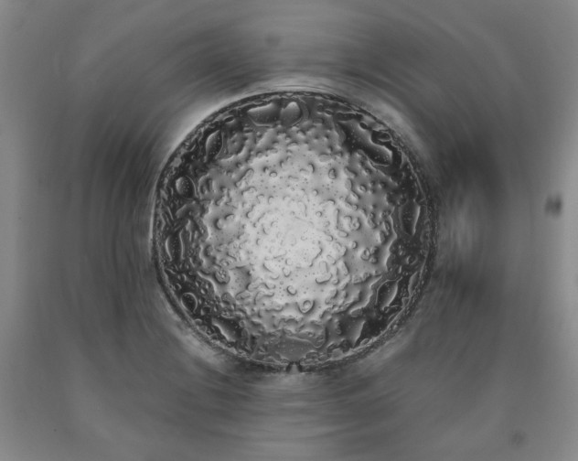 X0000090861228200707271221