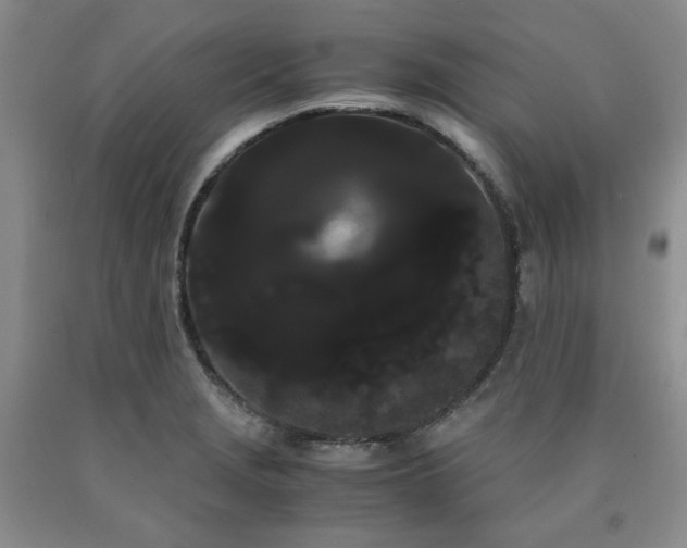 X0000090861229200707271221