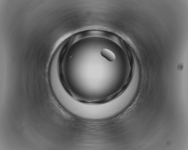 X0000090861230200707271221