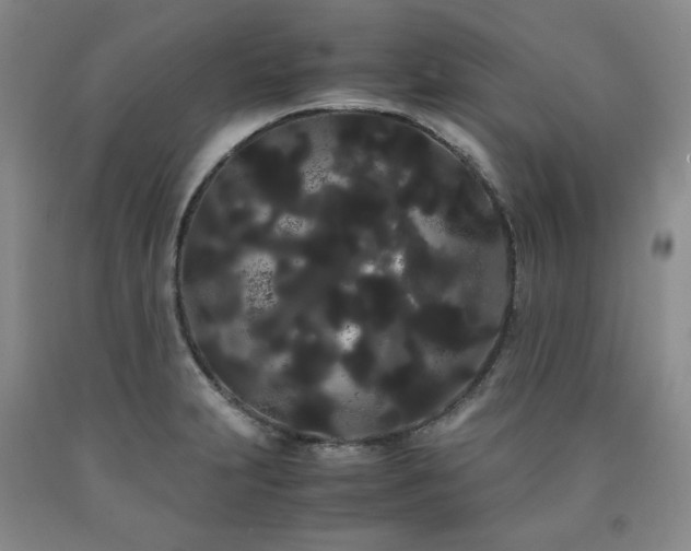 X0000090861231200707271221