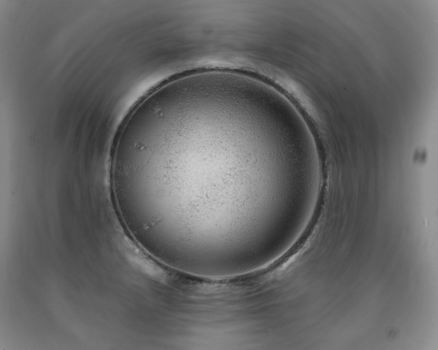 X0000090861232200707271221
