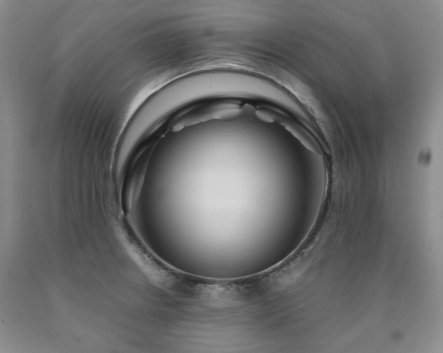 X0000090861234200707271221