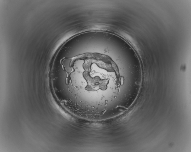 X0000090861235200707271221