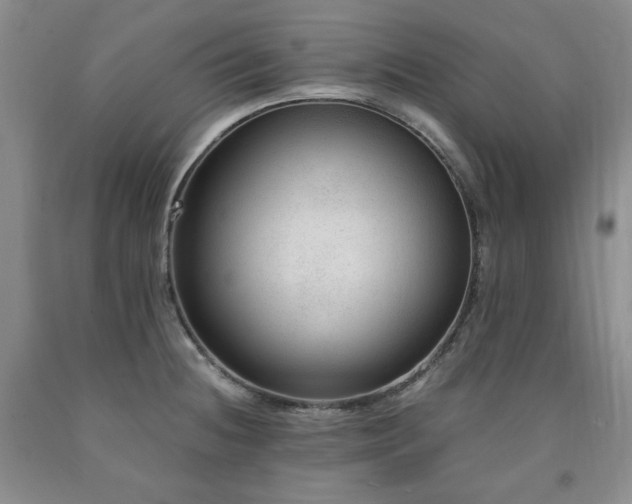 X0000090861236200707271222