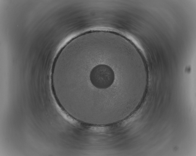 X0000090861237200707271222