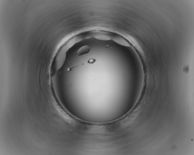X0000090861238200707271222