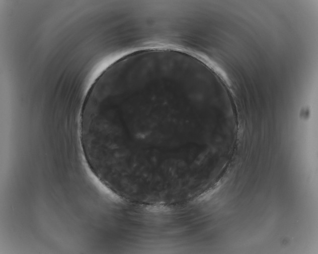 X0000090861239200707271222