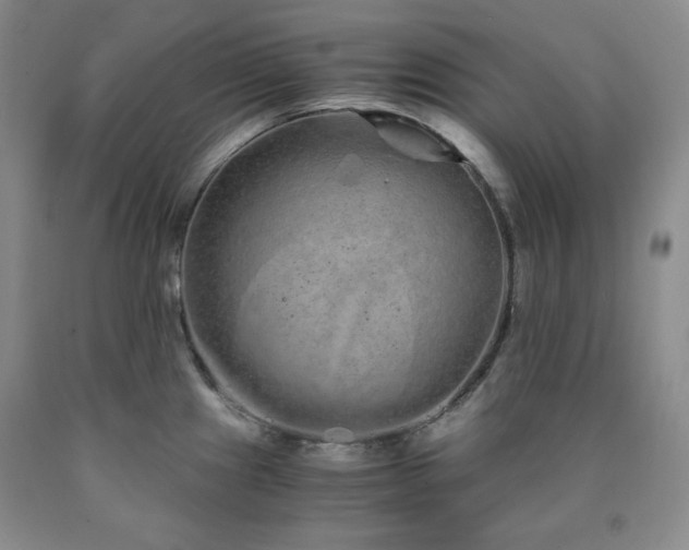 X0000090861241200707271222