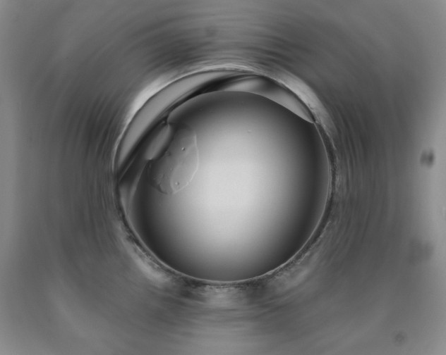 X0000090861242200707271222