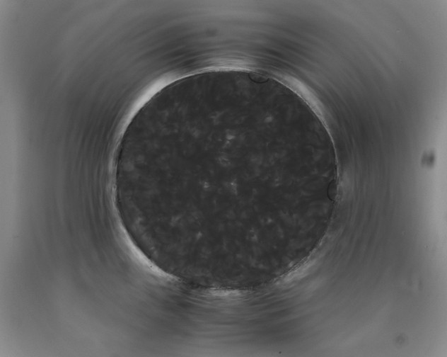 X0000090861243200707271222
