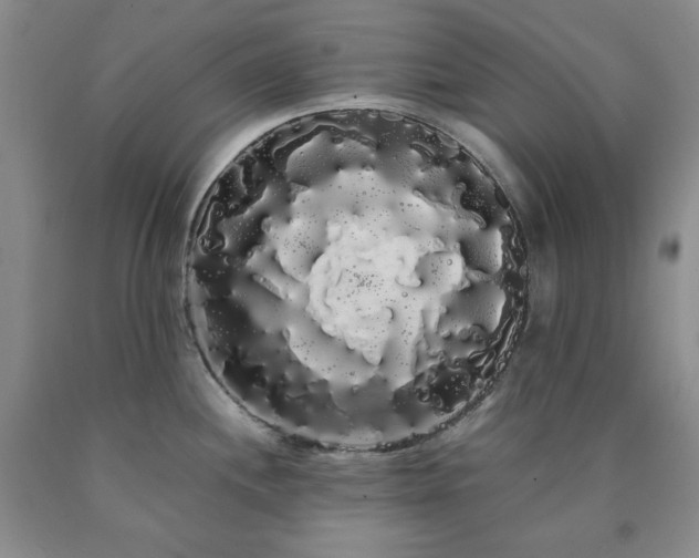 X0000090861244200707271222