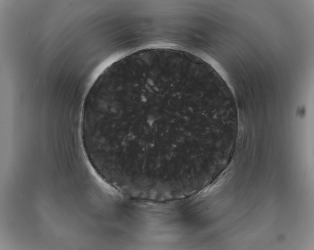 X0000090861245200707271222