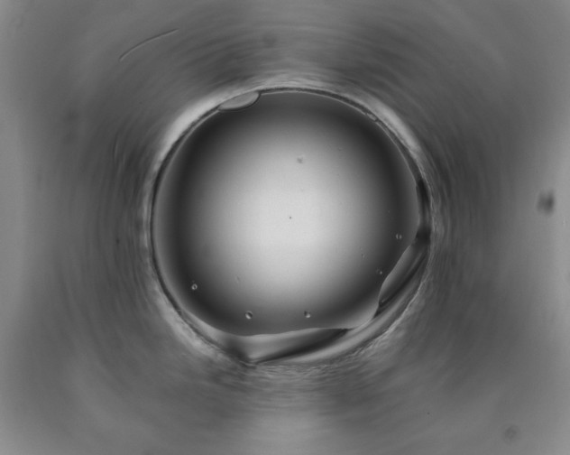 X0000090861246200707271222