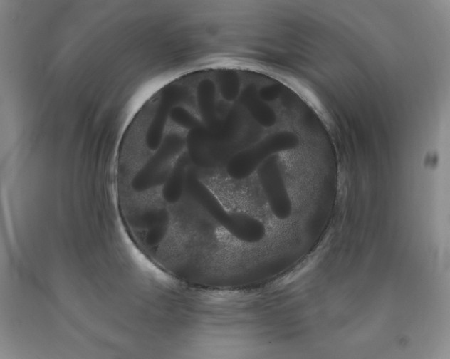 X0000090861247200707271222