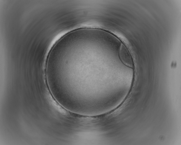 X0000090861248200707271222