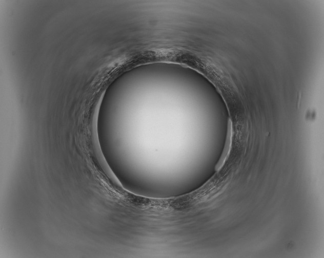 X0000090861249200707271221