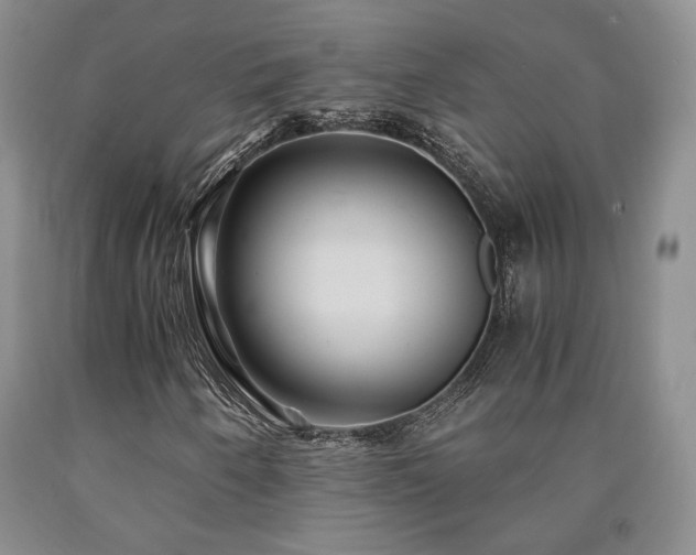 X0000090861250200707271221