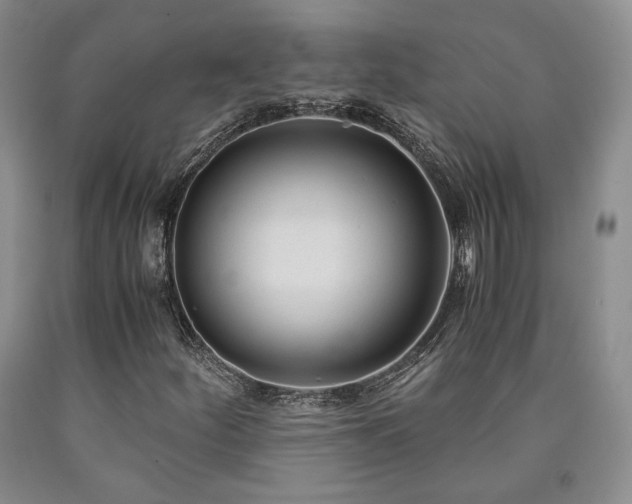 X0000090861252200707271221