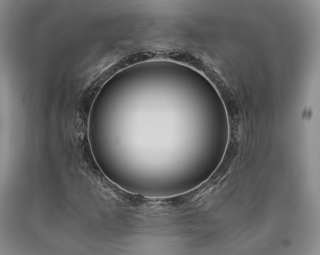 X0000090861253200707271221