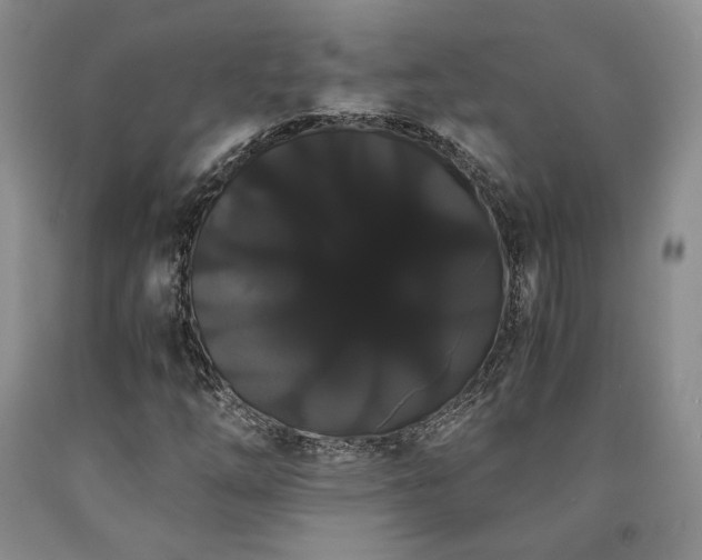X0000090861254200707271221
