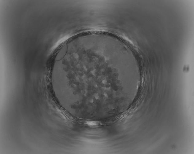X0000090861255200707271221