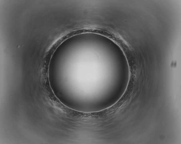X0000090861256200707271221