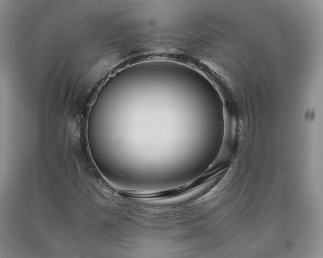 X0000090861257200707271221