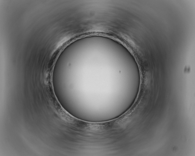 X0000090861258200707271221
