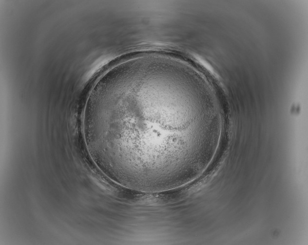 X0000090861259200707271221