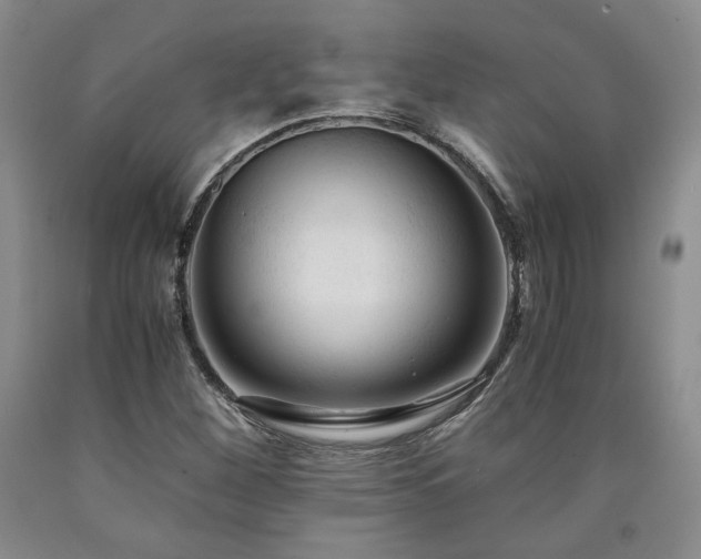 X0000090861260200707271221