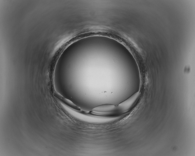 X0000090861261200707271221