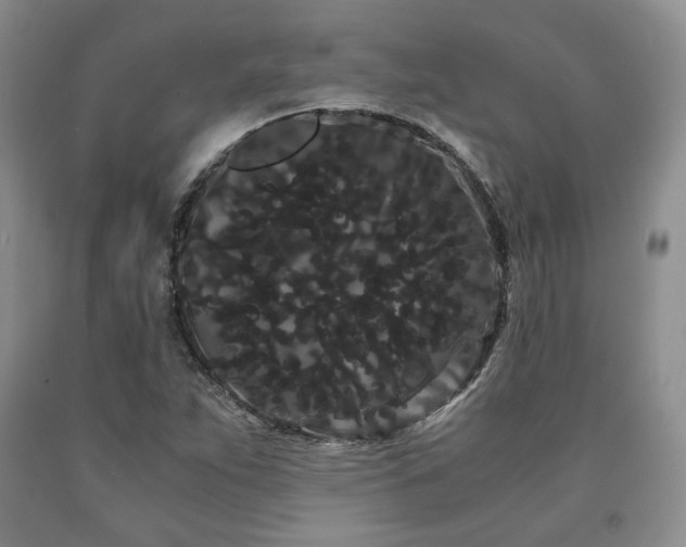 X0000090861263200707271221