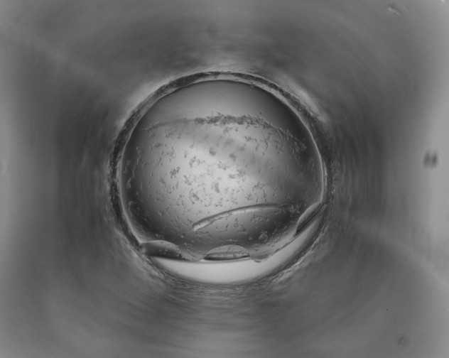 X0000090861264200707271221