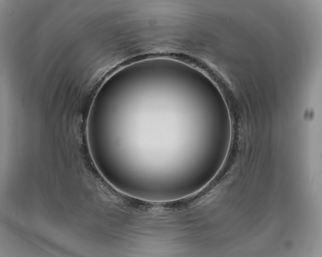 X0000090861265200707271221