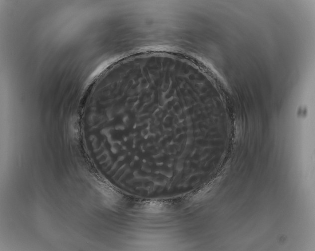 X0000090861266200707271221
