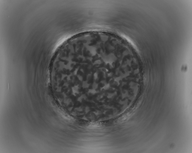 X0000090861267200707271221