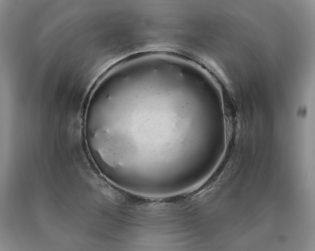 X0000090861268200707271221