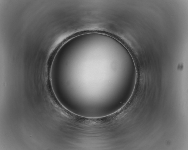X0000090861270200707271221