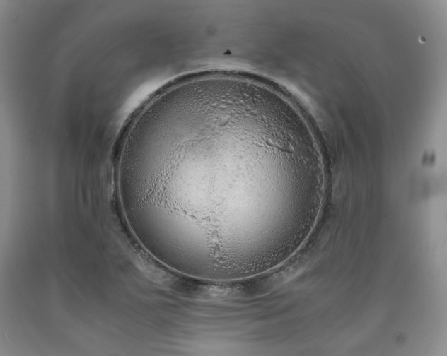 X0000090861271200707271221