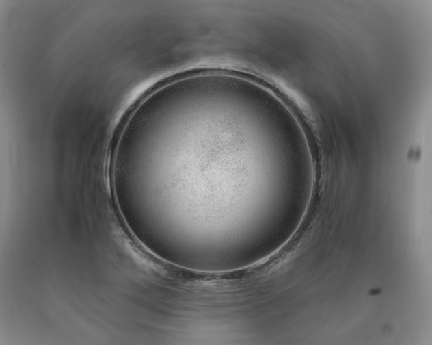 X0000090861272200707271221