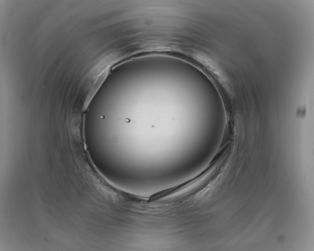 X0000090861273200707271221
