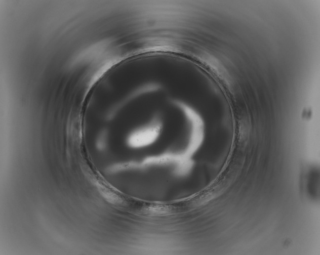 X0000090861274200707271221