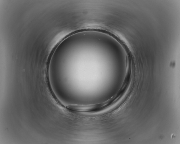 X0000090861277200707271221
