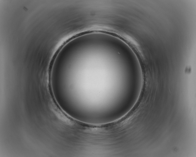 X0000090861280200707271221
