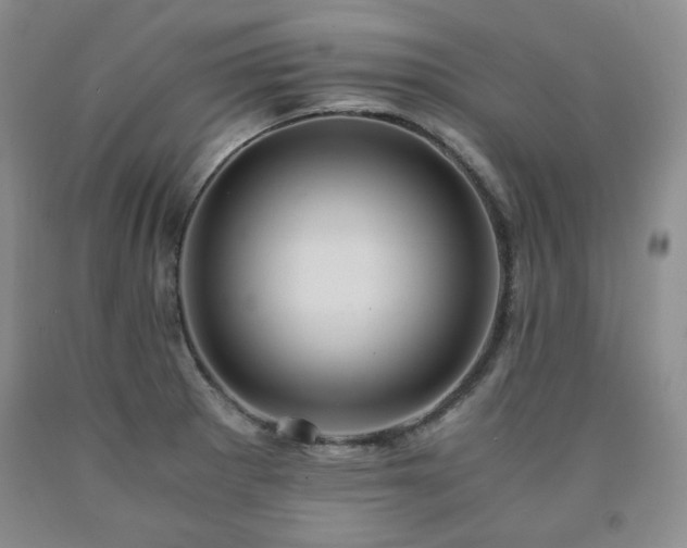 X0000090861281200707271221