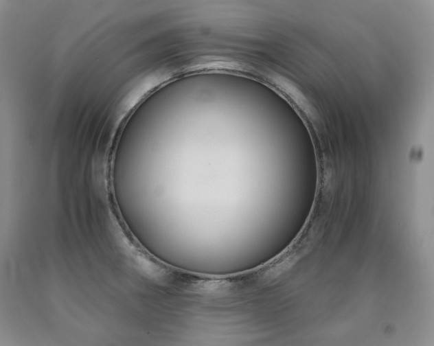 X0000090861282200707271221