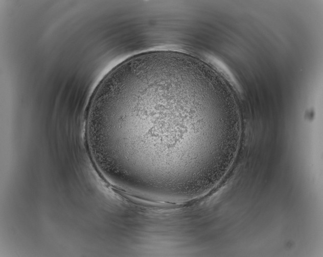 X0000090861284200707271221