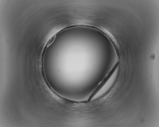 X0000090861285200707271221