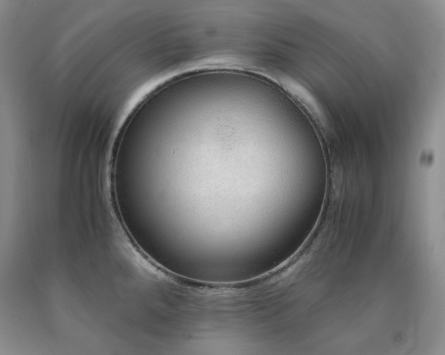 X0000090861288200707271221